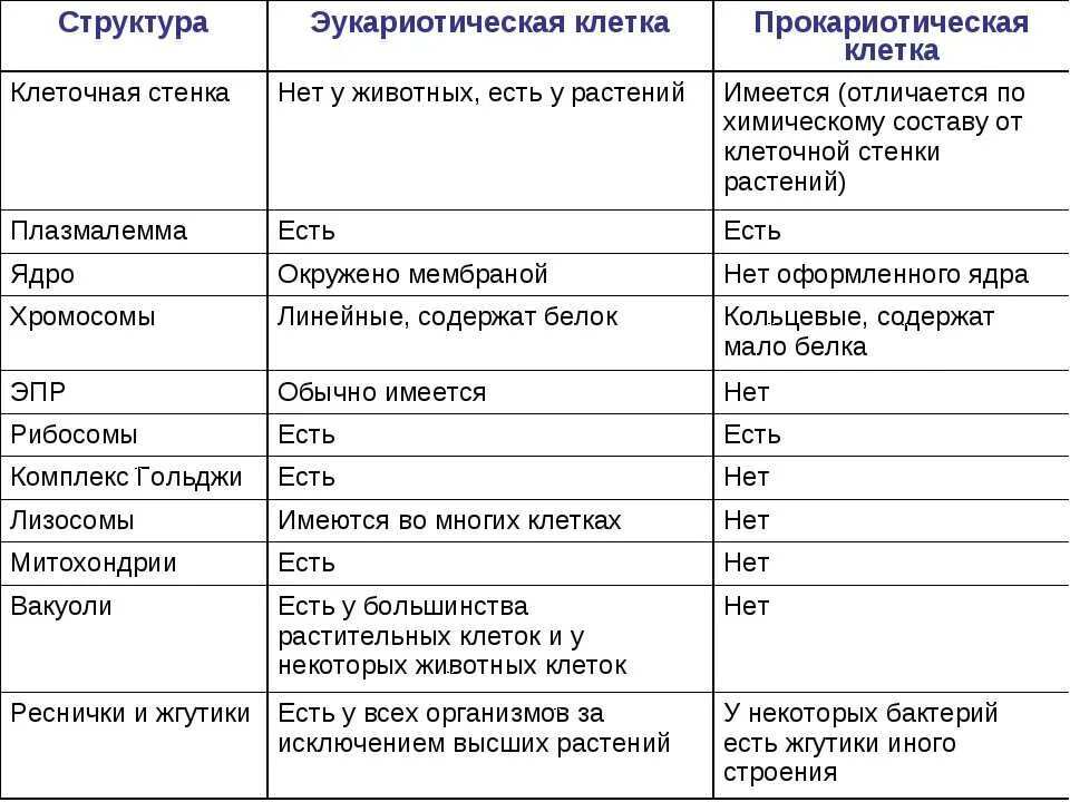 Особенности строения прокариотической и эукариотической клетки