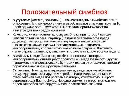 Роль симбиотических бактерий