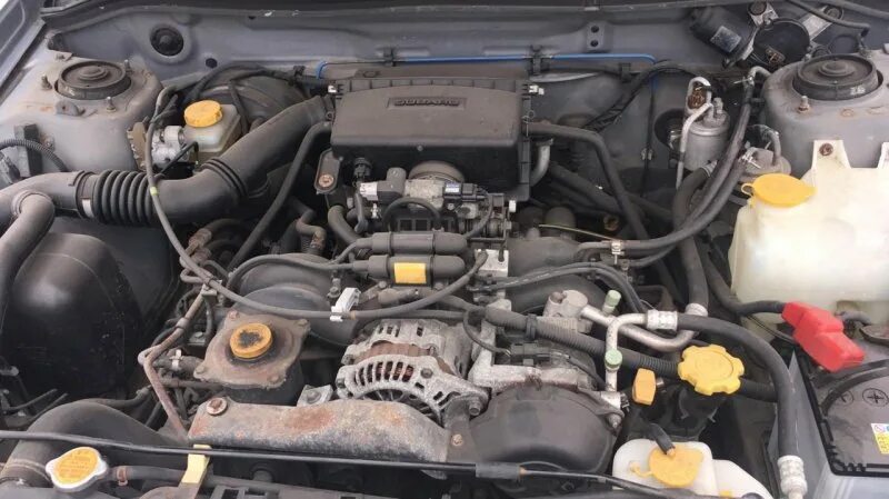 Forester sf5 двигатель. Двигатель sf5 субару форестер. Ej205 sf5. Двигатель sf5 subaru forester разборный. Подкапотное пространство субару форестер сф5.