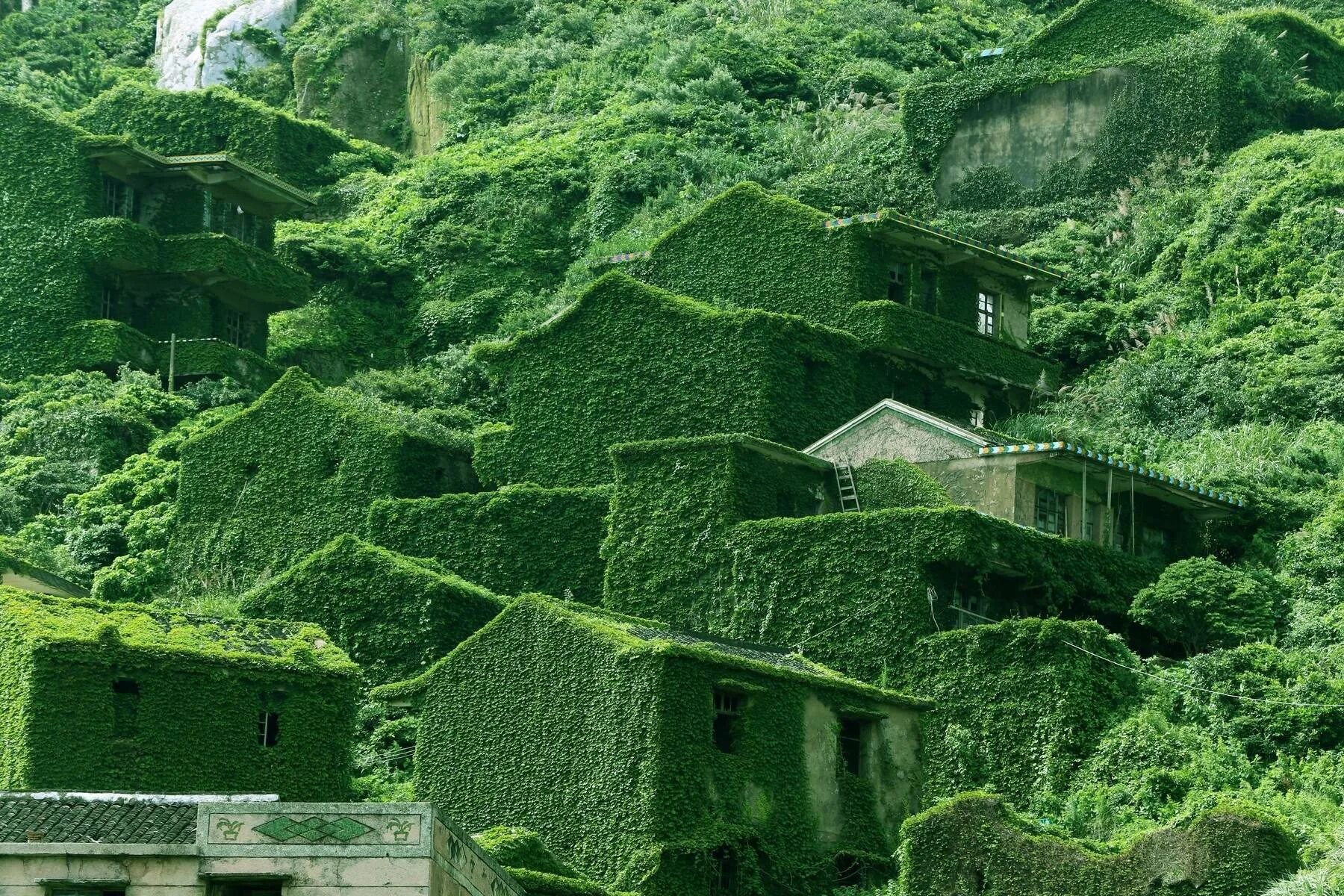 Abandoned village reclamation. Заброшенная деревня остров Шенгси. Архипелаг Шенгси Китай заброшенная Рыбацкая деревня. Остров Шенгси зеленая деревня. Заброшенная китайская деревня Хутуван.