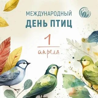 День птиц материалы