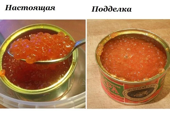 Пождельнкч кркснач икра. Настоящая и поддельная икра.