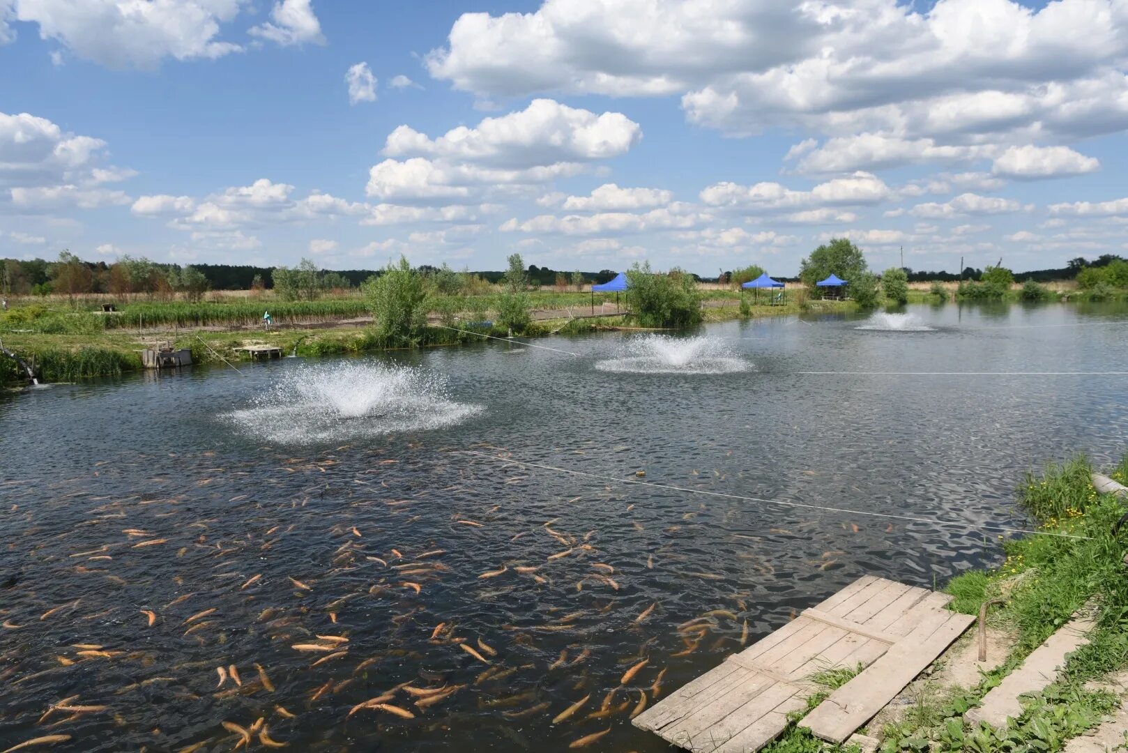 Курские водоемы