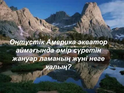 Үлкен өлшемді әйелдер мен белдіктермен порно