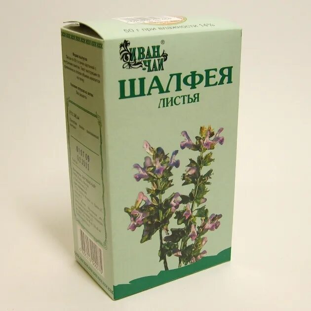 Сбор листьев шалфея. Фитофарм листья шалфея 50 г. шалфея лист 50г красногорск.