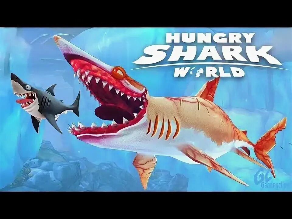 Хангри скин маска. Акула мако hungry Shark World. Хангри скин. Акула мако из игры hungry Shark. Акулы из игры аниматоры.