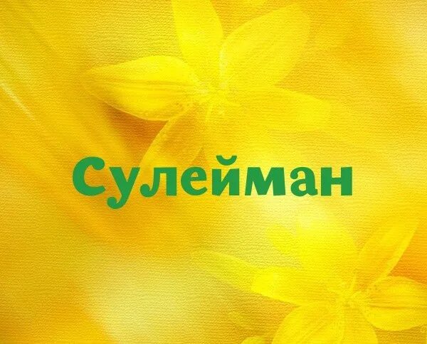 Сулейман значение. Сулейман имя. имя люда.