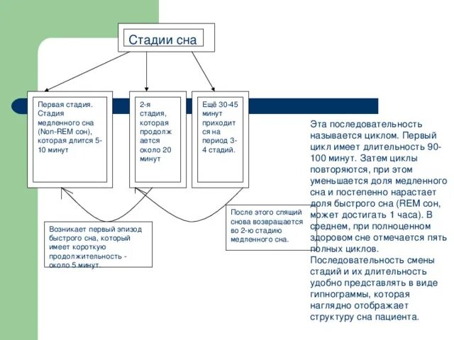 Rem фаза сна. Non Rem сон. Non Rem фазы сна что это.