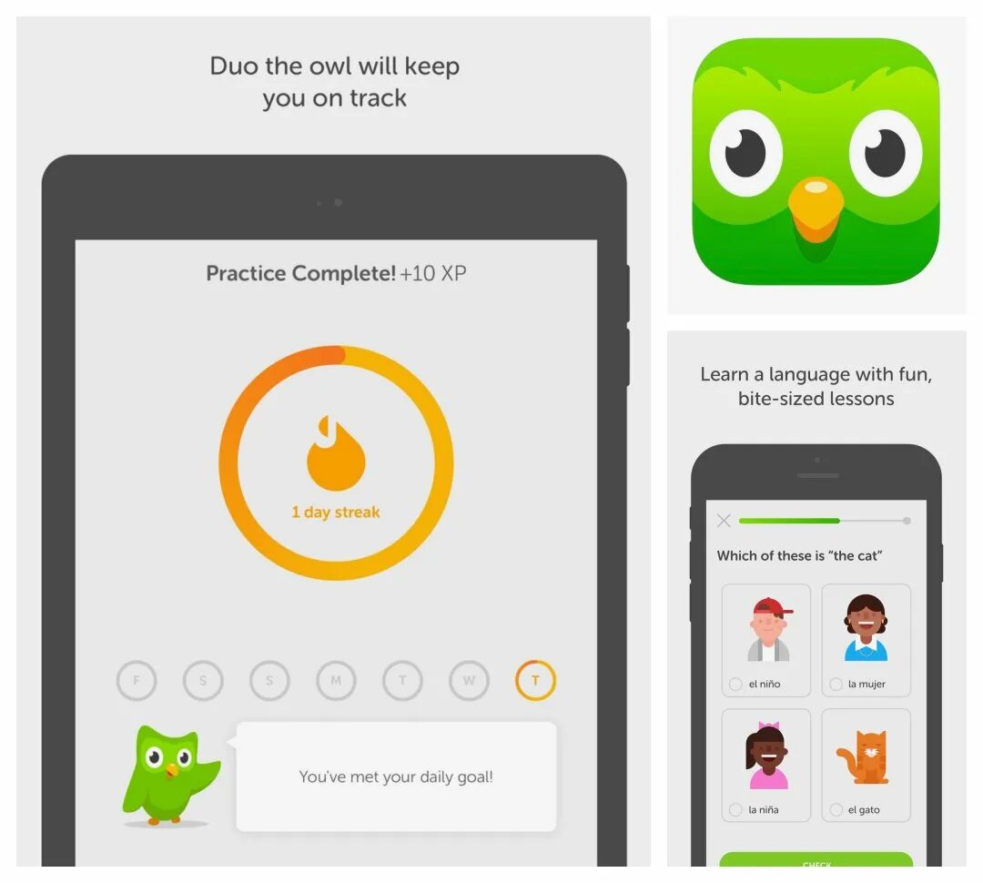 Дуолинго последняя версия. Duolingo Android-приложения. Дуолинго персонажи. Виджеты Дуолинго. Дуолинго теория.
