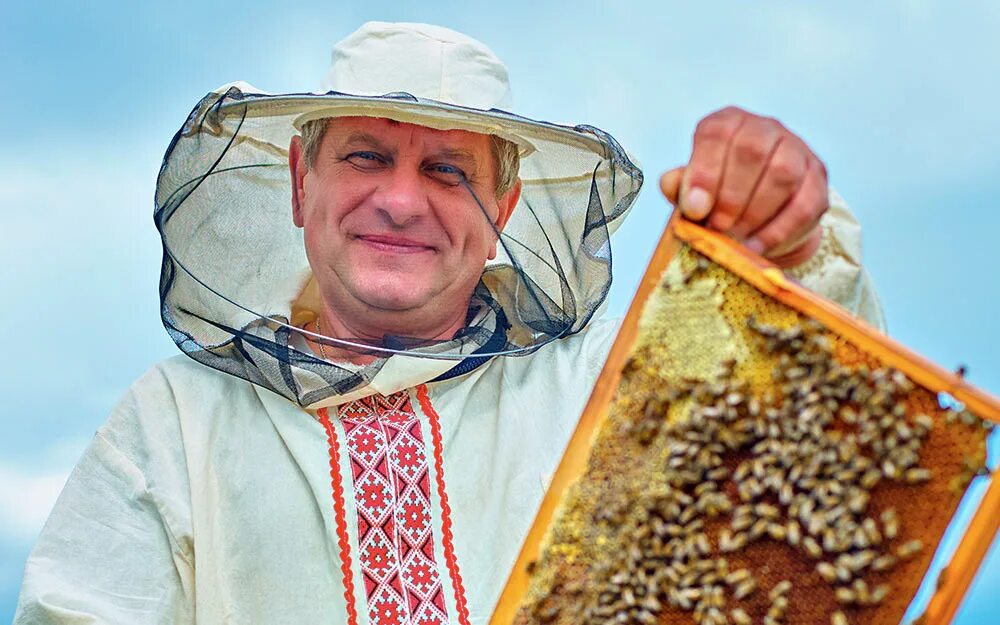 Пчелы приморского края