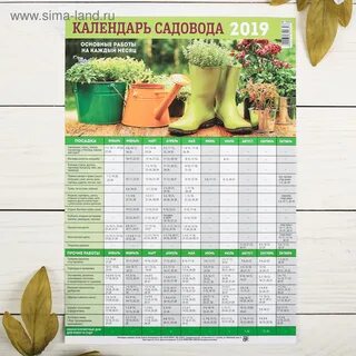 Календарь трудоустройства
