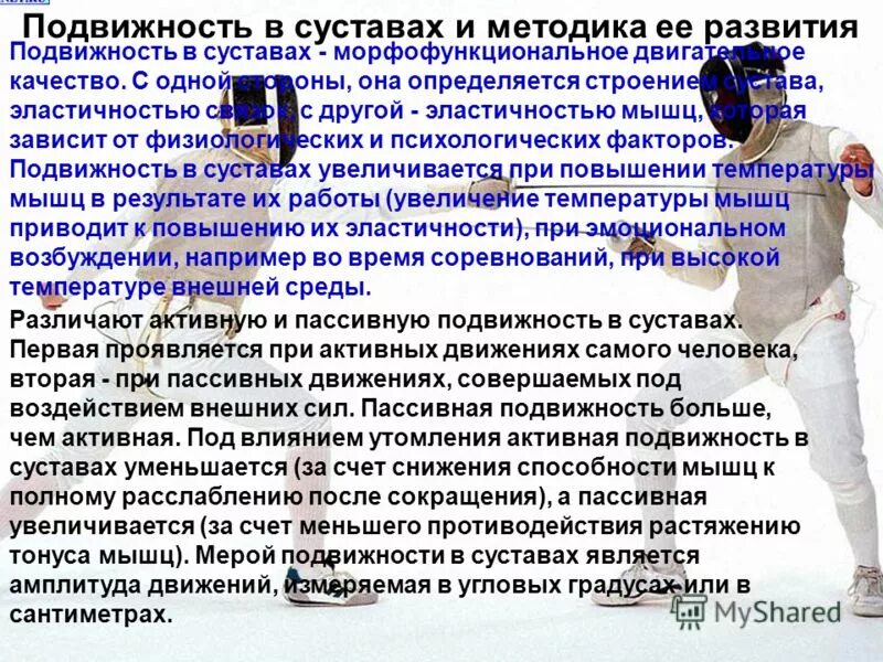 Активная подвижность. Активная подвижность