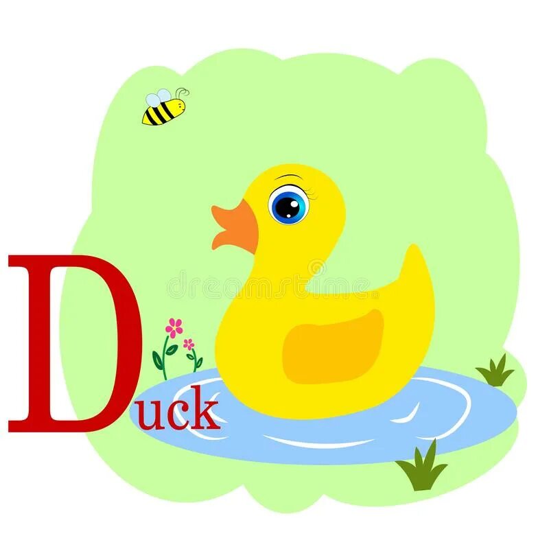 Утка Азбука. Letter d Duck. Английский алфавит с утками. Английский алфавит слово Duck.