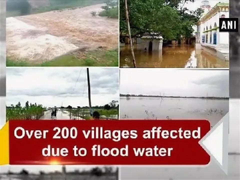 Flood like. Flood like