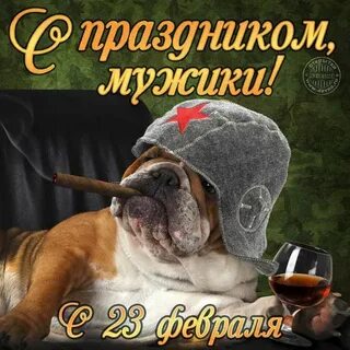 Пожелания с праздником мужчине