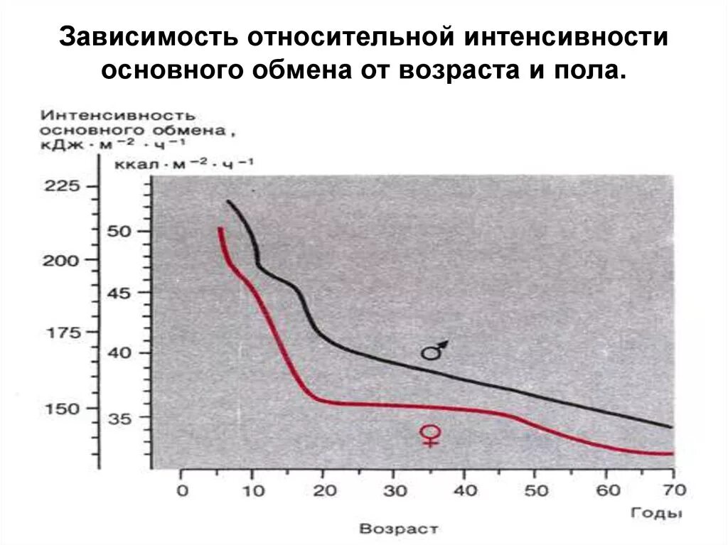 Возраст зависимое. С возрастом величина основного обмена. Замедление метаболизма с возрастом. Интенсивность основного обмена. Обмен веществ и Возраст.