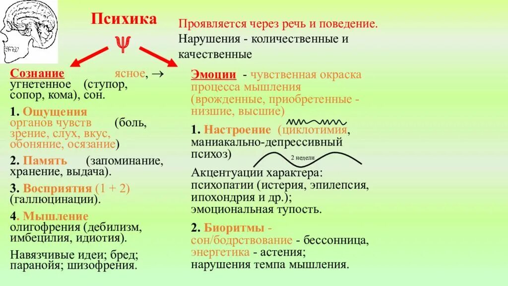 Сознание количественное и качественное. Количественные и качественные нарушения сознания. виды нарушения сознания качественные и количественные. средства угнетающие цнс. сознание ясное оглушение сопор кома.