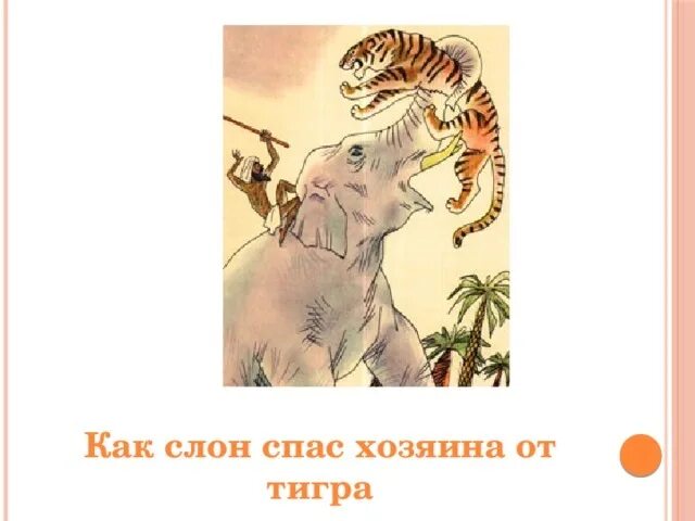 Житков про слона как слон спас хозяина от тигра?. Б Житков как слон спас хозяина от тигра.