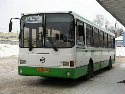 Талдом москва расписание автобусов 310 на завтра