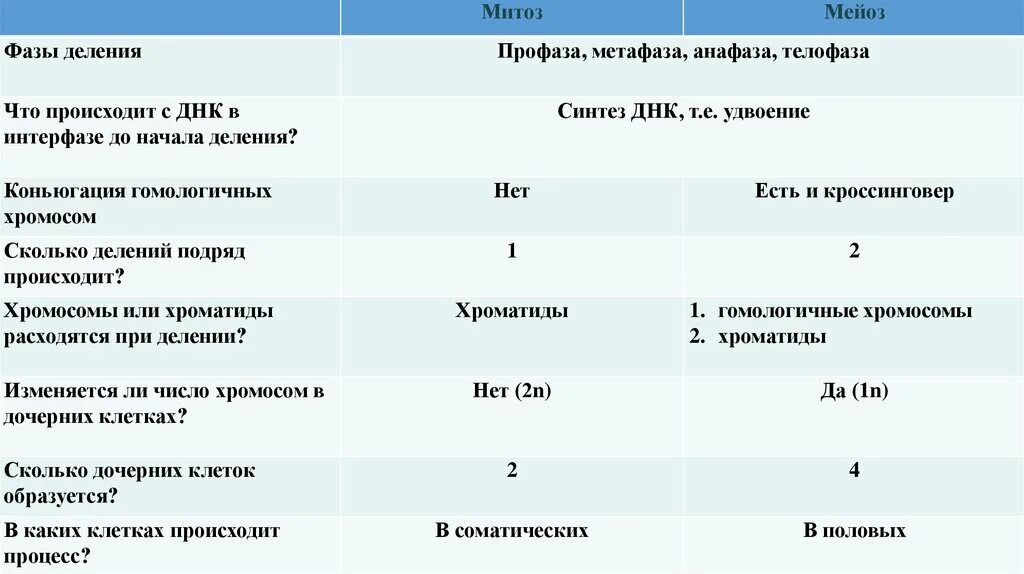 Сколько дочерних клеток образуется. Фазы деления митоза и мейоза сходства. Кроссинговер в митозе и мейозе сравнение. Сравнение митоза и мейоза таблица. Кроссинговер митоза и мейоза.