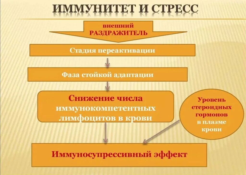 Влияние стресса на иммунную систему. Реакции иммунной системы на стресс. Стресс и иммунитет взаимосвязь. Влияние стресса на функции иммунной системы. Механизмы..