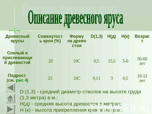 Ствола на высоте 1 3. Бланк описания участка растительного Покрова. Средняя высота яруса древостоя. Средний диаметр древостоя. Средний диаметр и средняя высота древостоя.