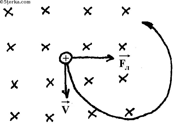 Определите направление силы лоренца действующую на протон. Определите направление силы действующей на частицу. Определите направление силы Лоренца. Протон влетает в магнитное поле. Определите направление силы Лоренца действующей на частицу.