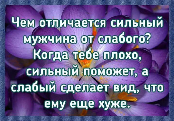 Чем сильные отличаются от слабых. Сильный мужчина поможет а слабый. Сильный мужчина поможет а слабый сделает вид что ему еще хуже. Слабый мужчина сделает вид что ему еще. Чем отличается сильный мужчина от слабого.