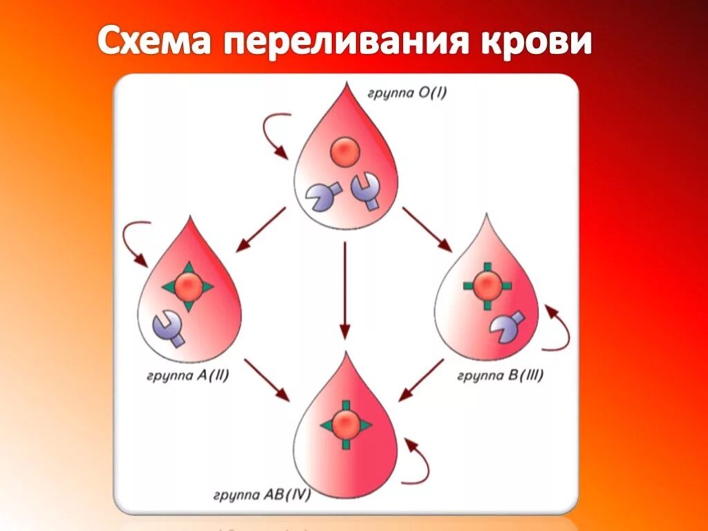 Переливание крови отрицательный резус. Схема по группам крови и резус фактор. Группа крови переливание резус-фактор. Переливание крови схема с резус фактором. Группы крови биология схема.