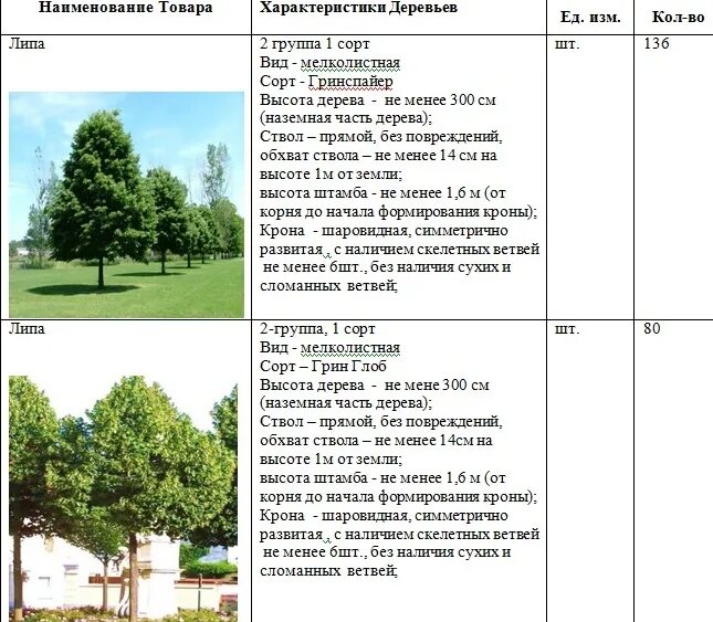Какие деревья можно сажать на участке приметы. Какие деревья можно сажать на участке приметы
