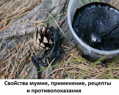 Целебное мумие