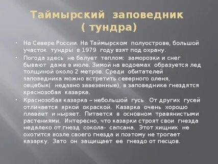 Какой заповедник создан для охраны природы тундры