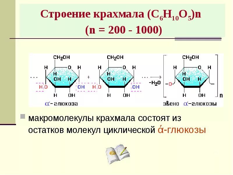 Состоят из остатков молекул глюкозы