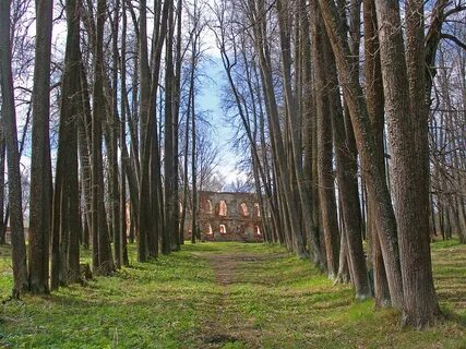 Чернцы ивановская область