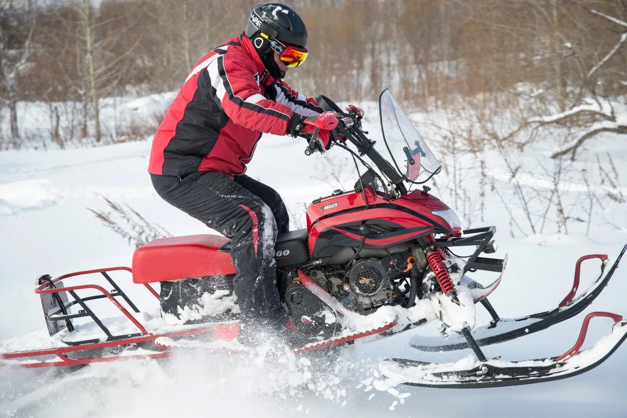 Динго т. Irbis dingo t150. снегоход irbis dingo t150. ирбис динго 150. снегоход динго 150.