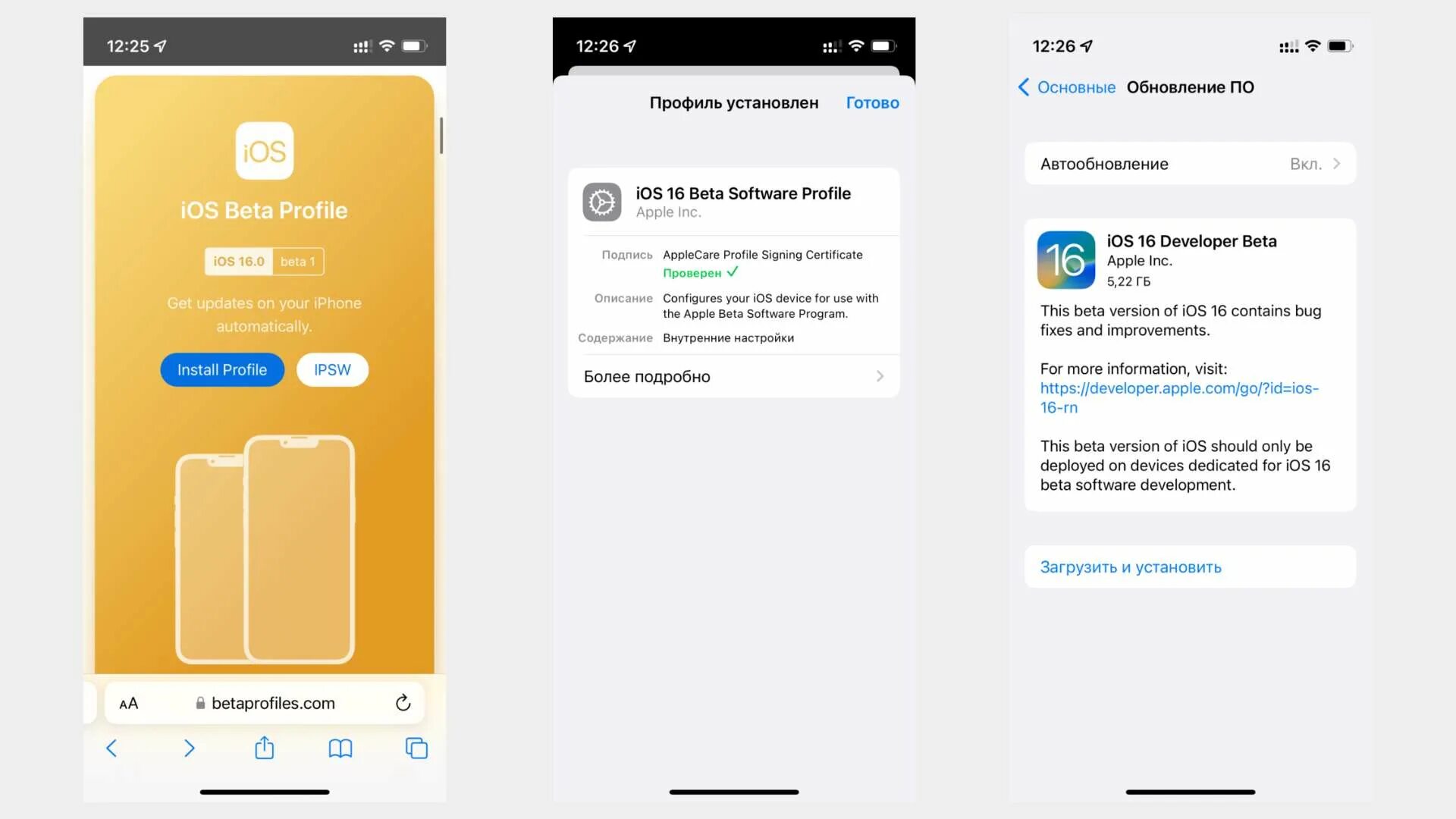 Обновление 16. Профиль разработчика IOS 16. Как установить IOS 16. Бет мобилу. 2 Все настройки.