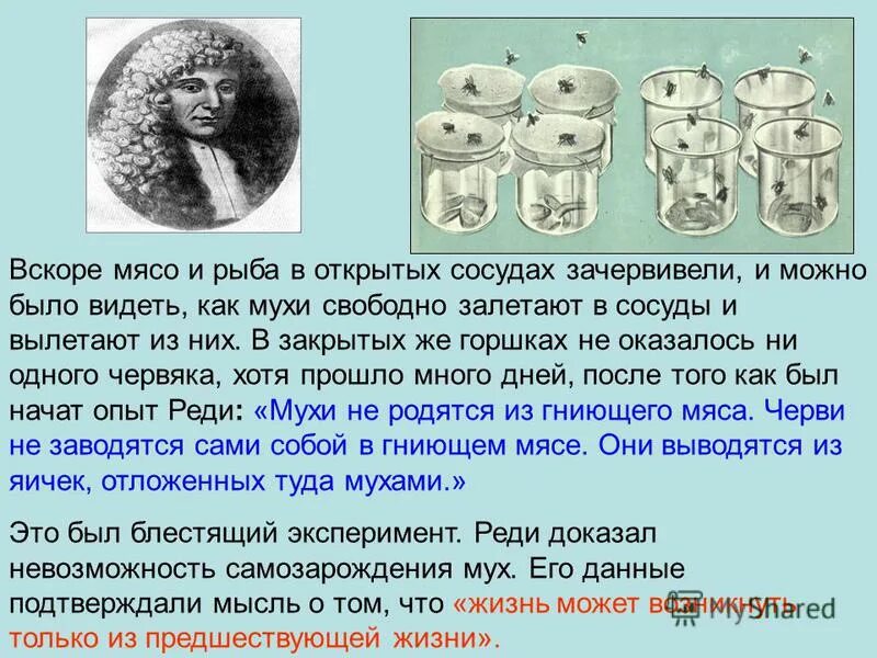 Доказательства самозарождения жизни. Теория самозарождения жизни. Теория самозарождения жизни доказательства. Гипотеза самозарождения жизни доказательства.