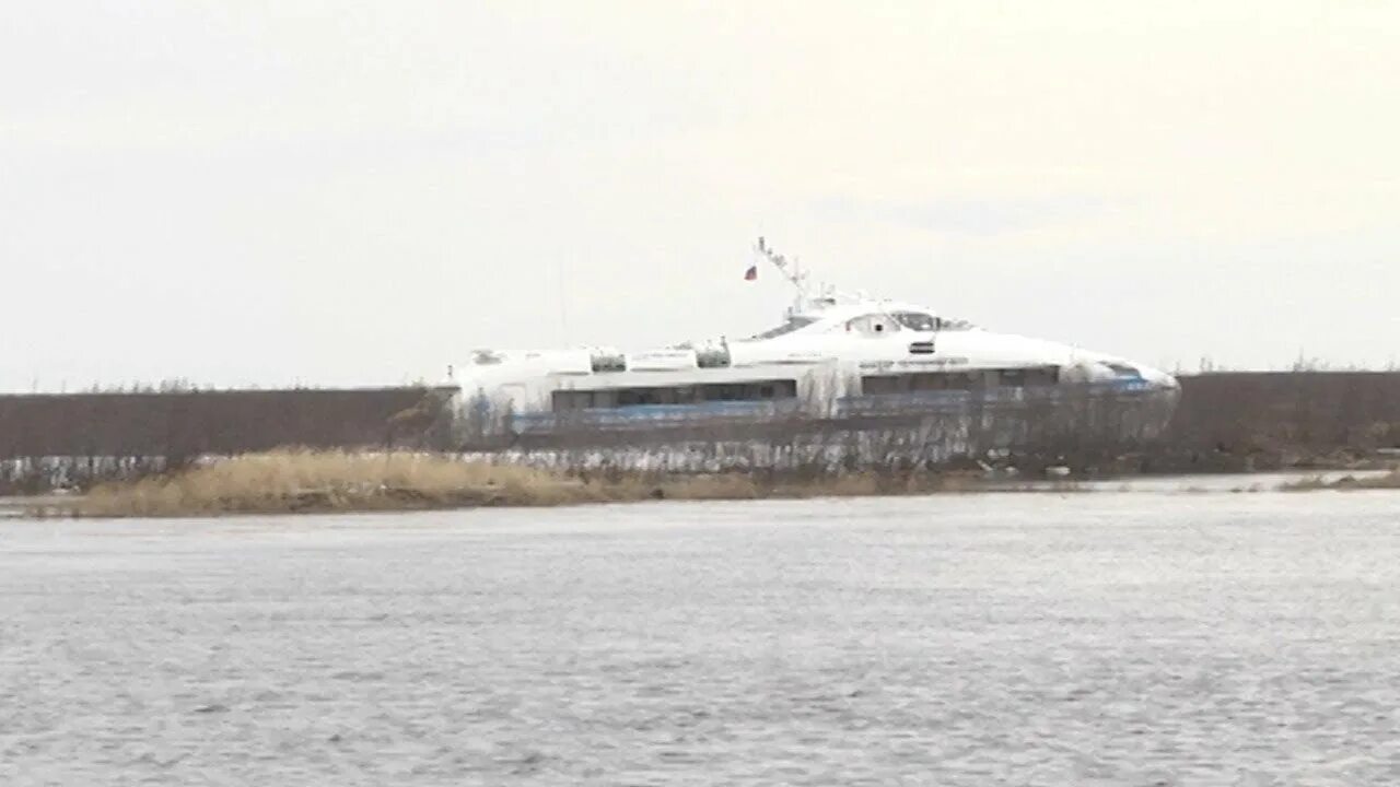 А-145 теплоход. Метеор корабль салехард. Метеор теплоход ямал. Теплоход салехард яр. 145.