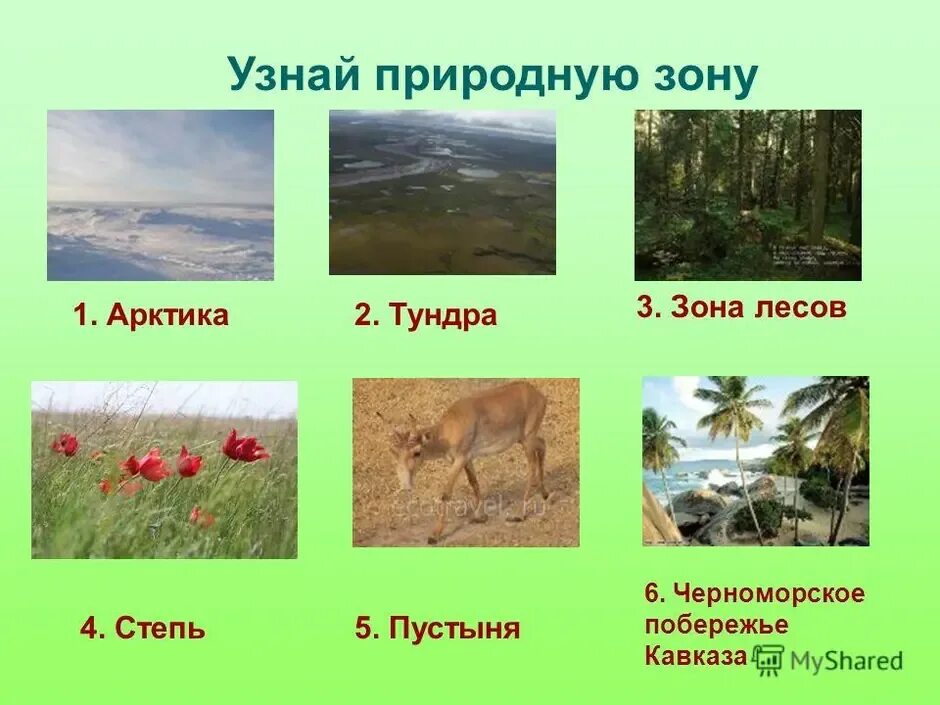 Природные зоны. Изображение природных зон. Рисунок природной зоны. Природные зоны картинки.