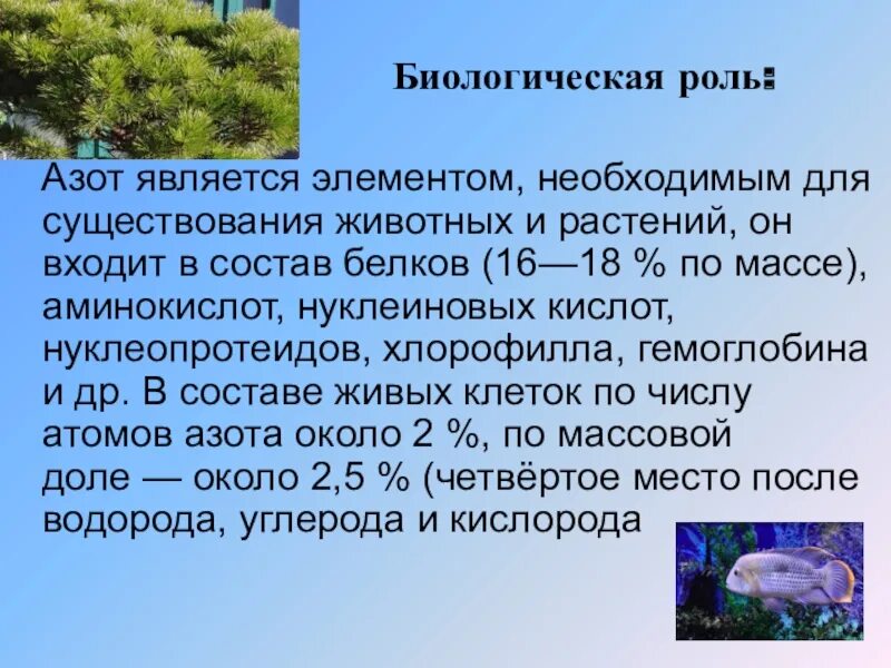 Соединения азота в организме. Биологическая роль ахота. Биологическая ролт азотп. Биологическая роль азота. Биологическая роль азота в природе.