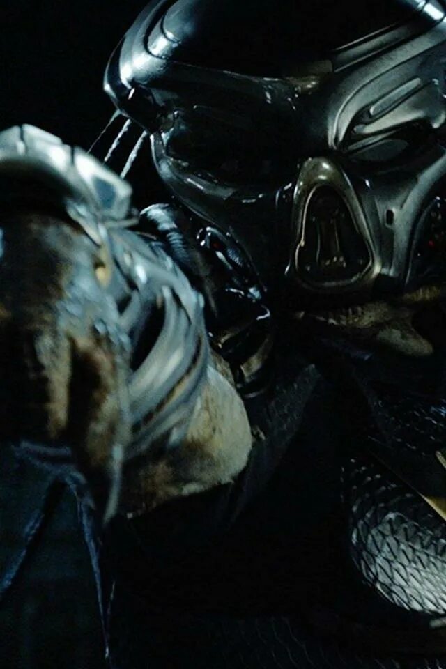 хищник 2018 на телефон. хищник предатор. хищник 2018 на телефон. хищник 2018 на телефон. хищник 2018 на телефон.