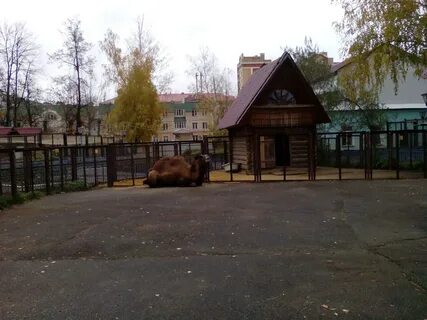 Сайт зоопарка саранска