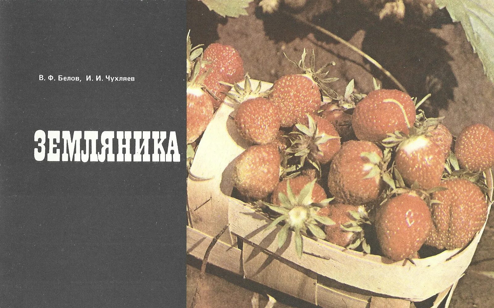 Земляника книга. Выращивание земляники книга. А Ф земляника. Земляника в литературе.