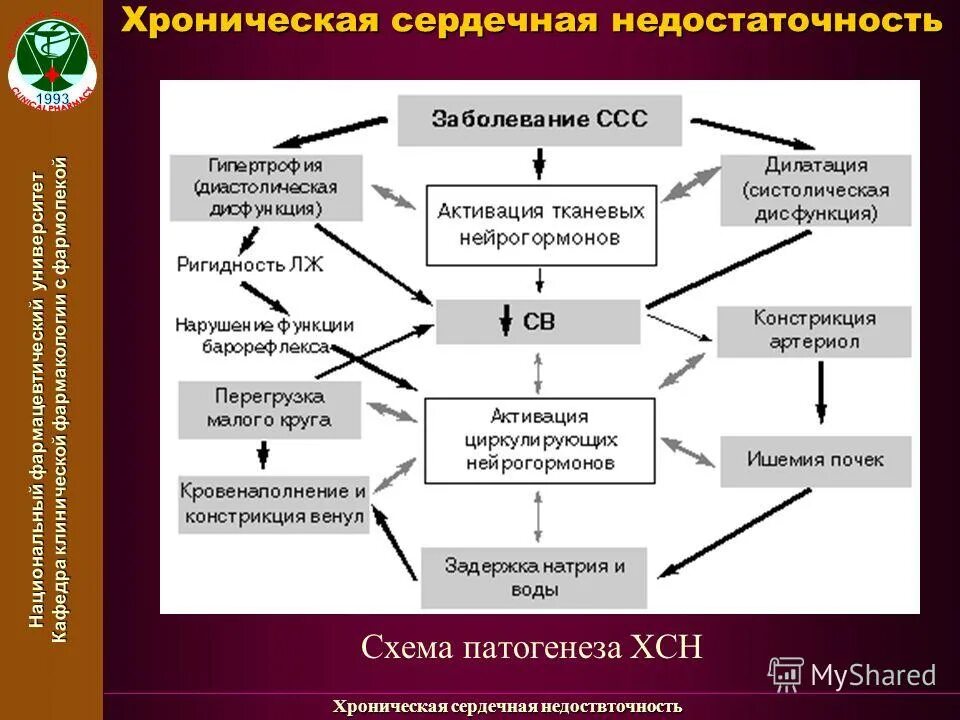 4 хроническая сердечная недостаточность. Патогенез хронической сердечной недостаточности (ХСН).. Патогенез хронической сердечной недостаточности схема. Схема патогенеза сердечной недостаточности. Патогенез ХСН схема.