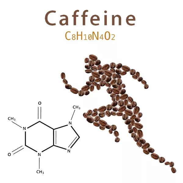 Метаболит кофеина. Метаболизм кофеина. Кофеин на обмен веществ. Биотрансформация кофеина. Кофеин комплекс