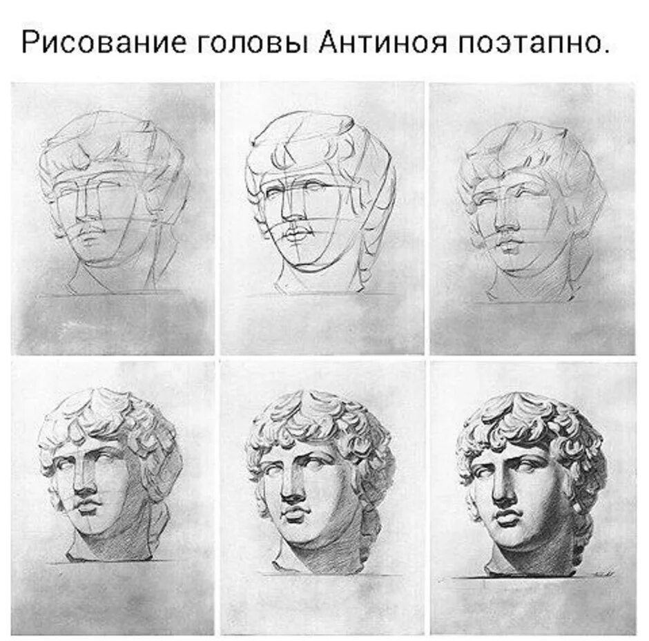 Академическая голова рисунок поэтапно. Гипсовая голова аполлона академический рисунок. Академическая голова рисунок поэтапно. Антиной гипсовая голова мархи. Гудон обрубовка.