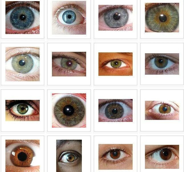 Цвет глаз. Оттенки цвета глаз. Расцветки глаз человека. Определить на глазок