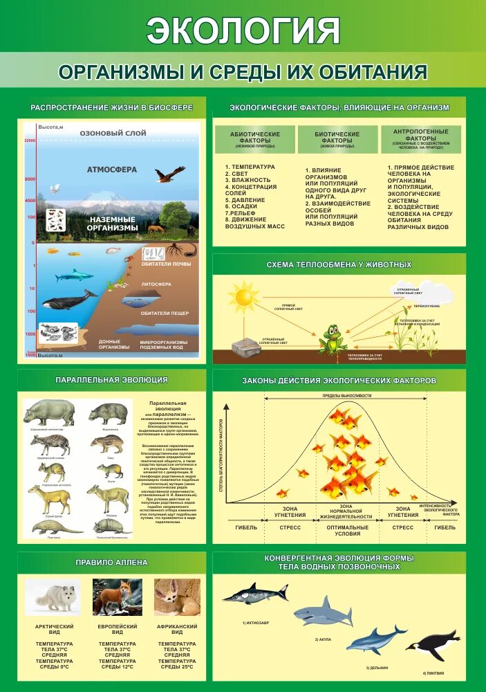 Организмы и их среда обитания. Стенд экологическая безопасность. Экологические проблемы стенд. Стенды проблемы экологии.