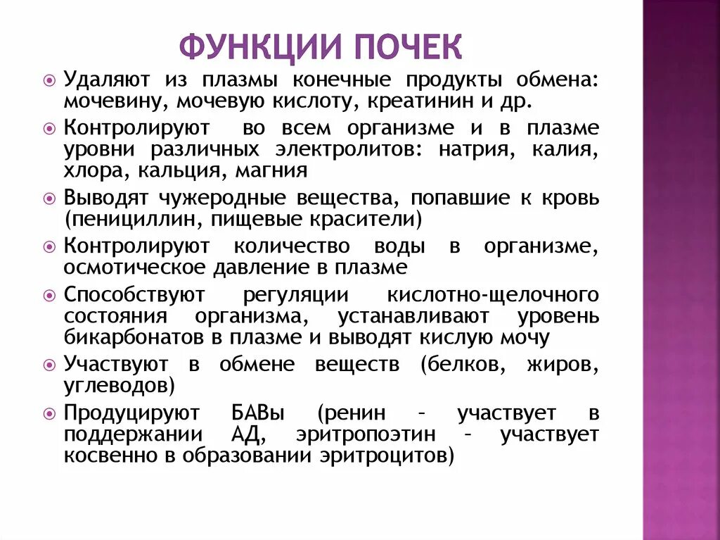 Какую функцию выполняют почки у человека. Функции почек. Почки человека функции кратко. Функции почек кратко. Перечислите функции почек.