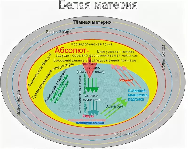 Информацию информационных полей